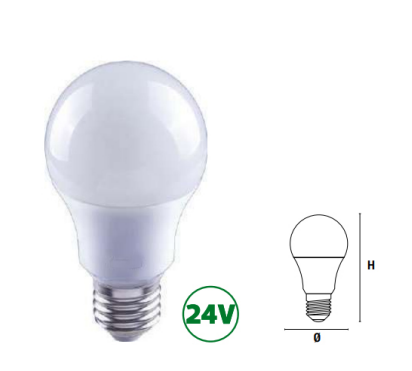 Ampoules LED standard E27 24V